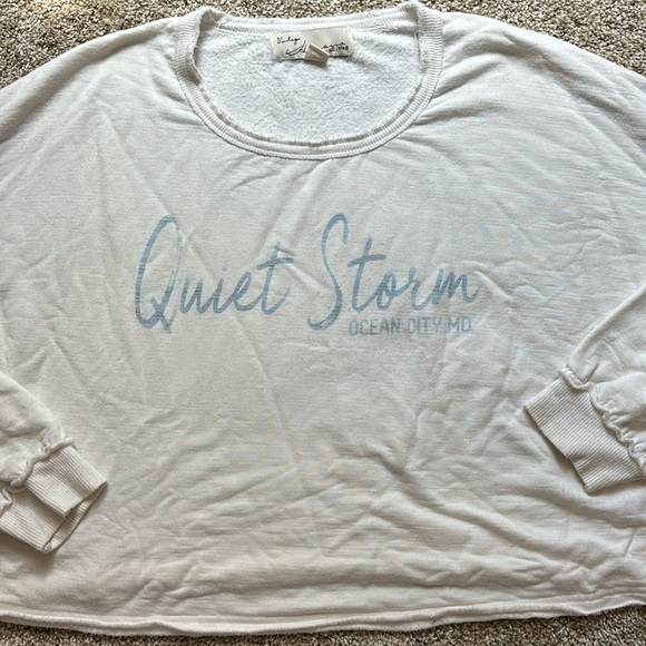 Quiet Storm Cropped Sweatshirt - Picture 1 of 4